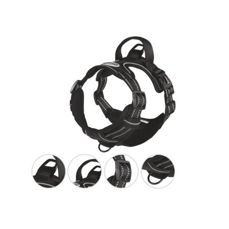 ריתמה מחוזקת עם תוספת איזי ווק 