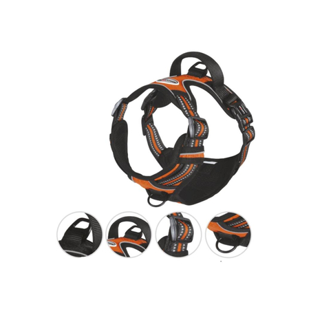 ריתמה מחוזקת עם תוספת איזי ווק 