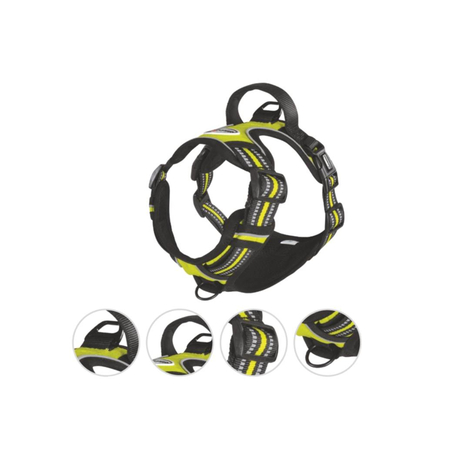 ריתמה מחוזקת עם תוספת איזי ווק 