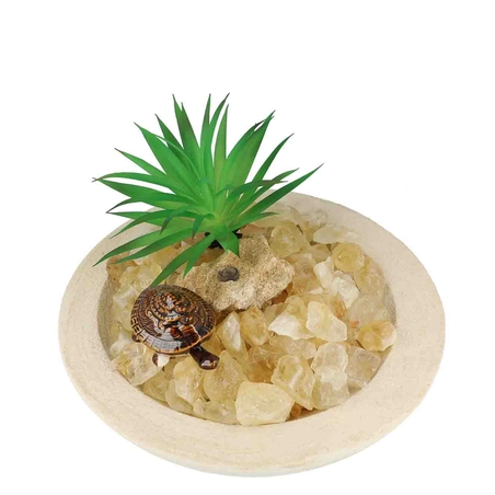 מזרקה עם סיטרין גולמי בקערה עגולה לבנה