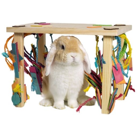 צעצוע לארנב - קוניפיק