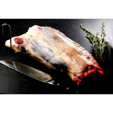 שריר עגל (בשר מספר 8) - מוזה