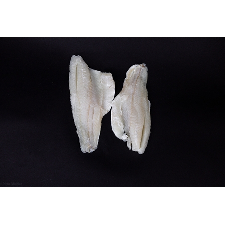 פילה דג דניס בוואקום