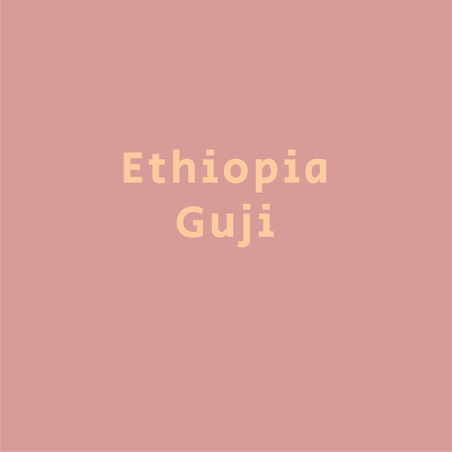 אתיופיה גוג'י