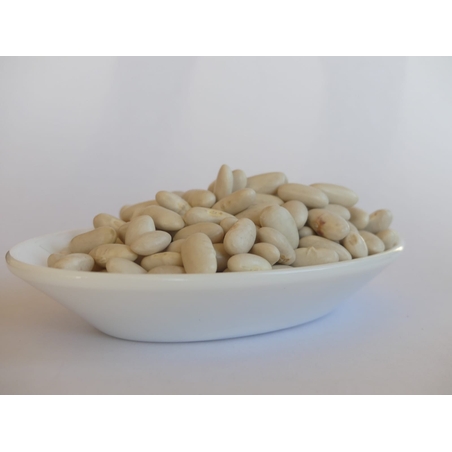 שעועית לבנה (אמריקאית)