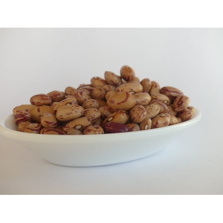 שעועית מנומרת 