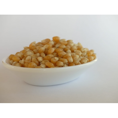 תירס לפופקורן