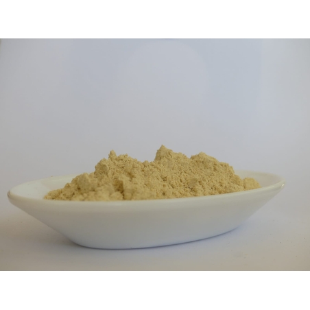 חומוס טחון לגונדי