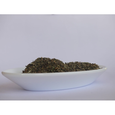 בזיליקום - כשר לפסח