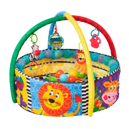 אוניברסיטת פליינסט בריכת כדורים