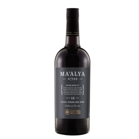 כרמל מזרחי - סיגנצ'ור מעליא 2019