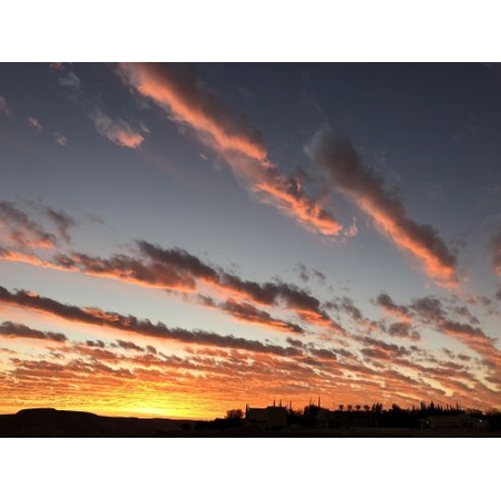 טיול שקיעה ועקרבים בחניון נחל הרועה 30.8.2021