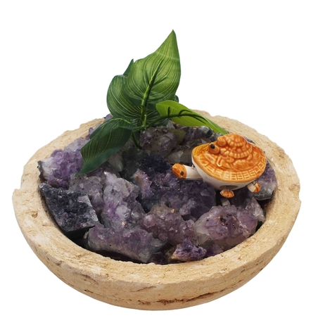 מעיין נובע קערה טבעית - מושבות אמטיסט