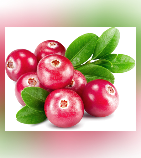 חמוציות קפואות 1 ק