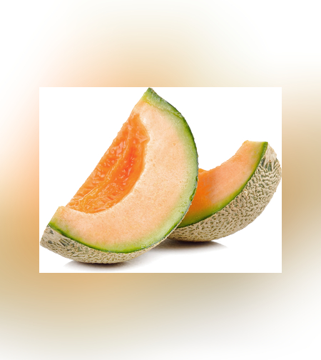 מלון קפוא 2 ק