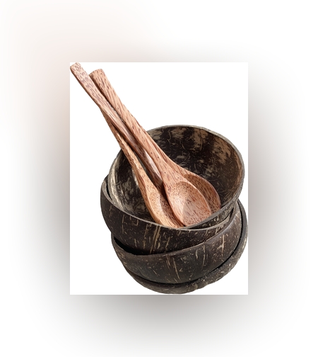 קערת קוקוס טבעית וכפית (1 יח׳)