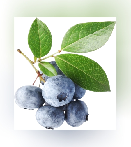 דומדמניות שחורות קפואות 2 ק