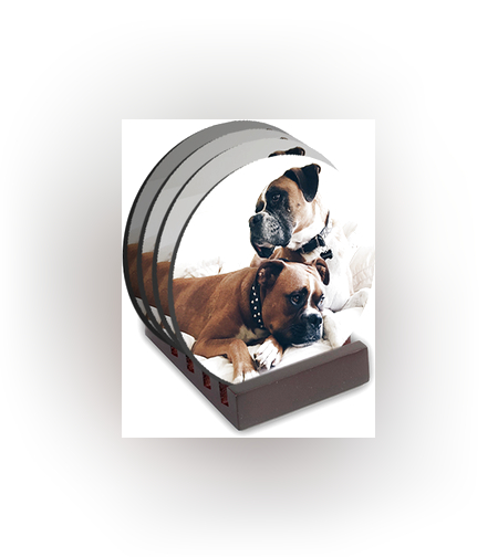 סט 4 תחתיות עיגול + מעמד