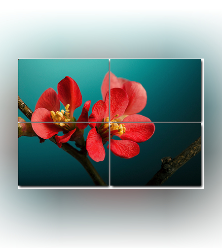 מולטי קנבס PC05 