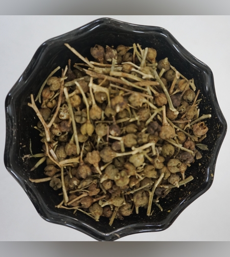 פיגם מצוי- (טֵנָה אַדַם)ጤና አዳም