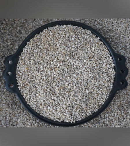 חמנייה זרעים- (סוף) የሱፍ አበባ ዘሮች