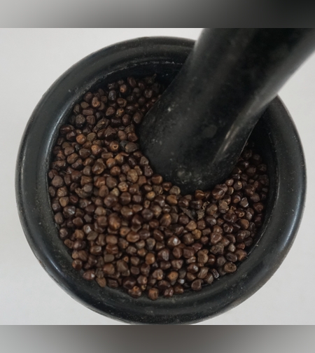 חמם (הל) נקי- (כּוֹרֶרִמַה) ኮረሪማ