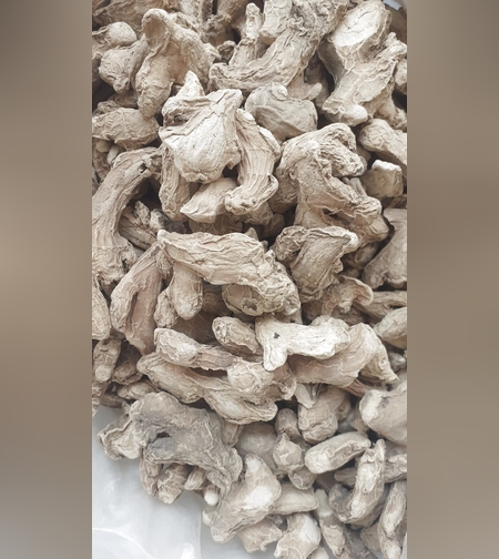 זנגביל רפואי-ዝንጅብል