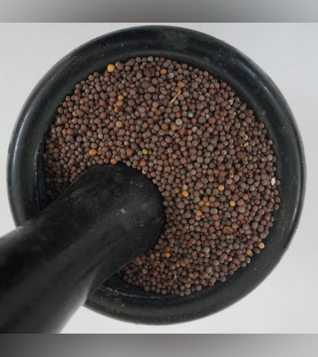 זרעי כרוב הקרינית(חרדל)- (גֹמֶנזֶר)ጎመንዘር