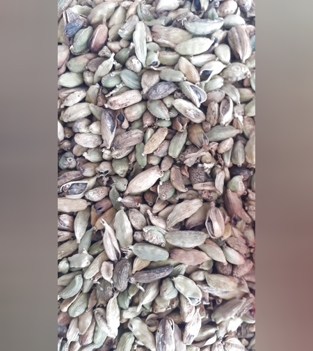 חמם (הל) שלם- (כּוֹרֶרִמַה)ኮረሪማ