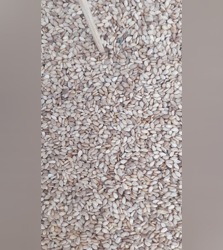 שומשום -(סליט) ሰሊጥ