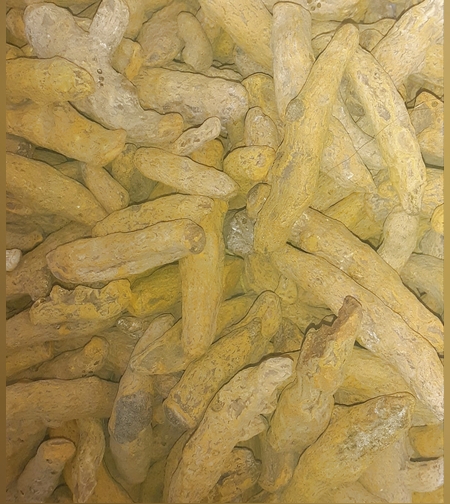 כורכום שלם (100ג')