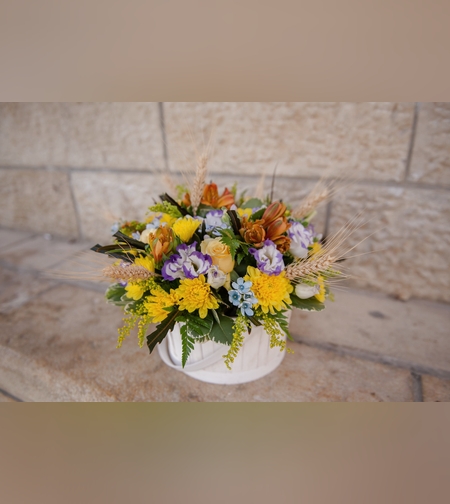 דלי אביבי #217