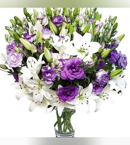 הופעה מרשימה #121