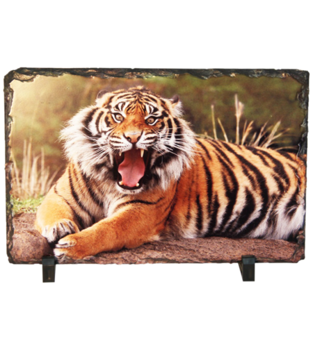 אבן בזלת 20*30