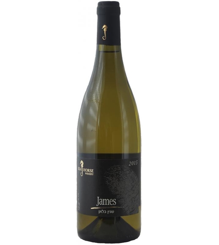 גמ'ס- JSMES ,סוסון ים 