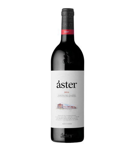 ריברה דל דוארו קריאנזה, בודגאס אסטר