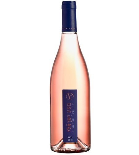 מסע ישראלי ורוד, ויתקין