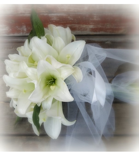 זר כלה הלנה