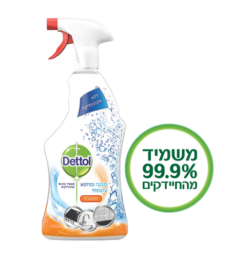 תרסיס מנקה ומחטא עוצמתי דטול למטבח 750 מל