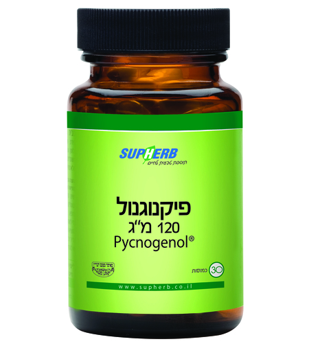 פיקנוגנול 120 מ