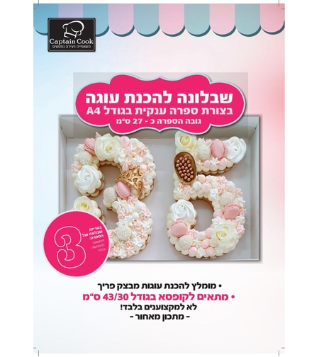 שבלונה לעוגת מספרים מספר בודד A4 - המספר 3