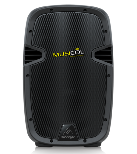 רמקול פסיבי 