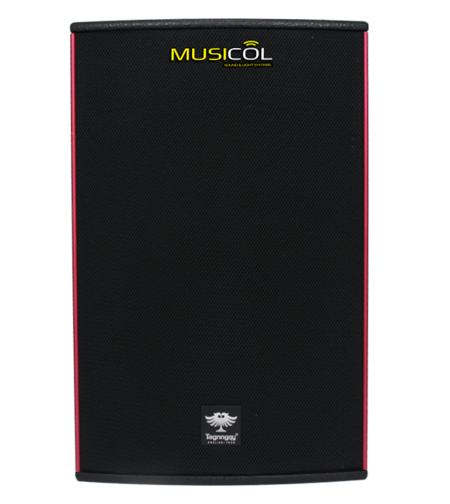 רמקול פסיבי 