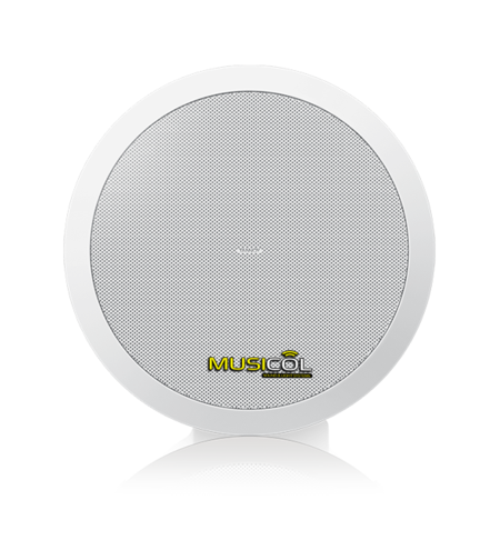 רמקול שקוע שנאי קו 