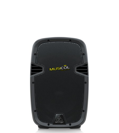 רמקול פסיבי 