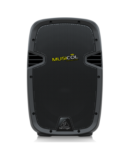 רמקול פסיבי 