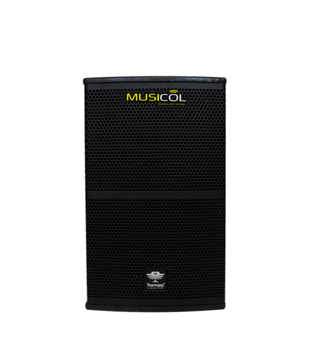 רמקול פסיבי 