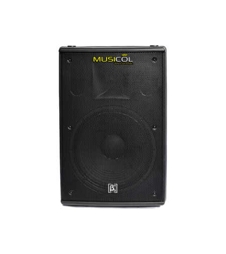 רמקול פסיבי 