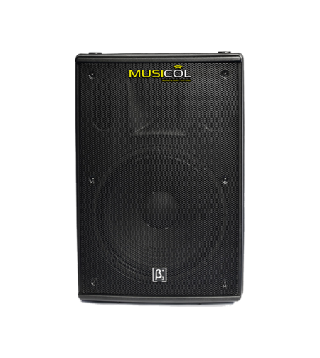 רמקול פסיבי 