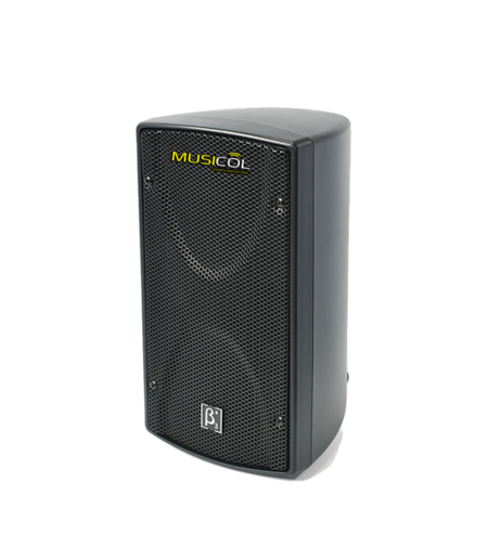 רמקול פסיבי 